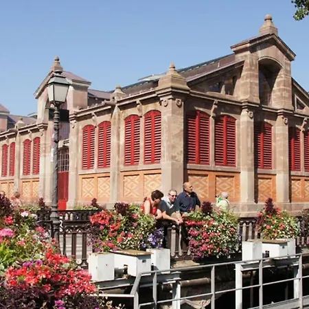 Nature - Quiet Maraichers * Colmar